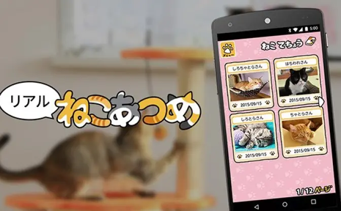 『ねこあつめ』がリアルに！ くつろぐ猫をひたすら眺める神動画が生配信