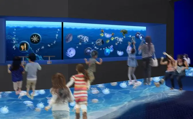 実物と3Dのクラゲに癒される　鴨川シーワールドの新施設「Kurage Life」