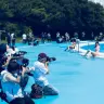 水着撮影会／写真は稲毛海浜公園プールで開催されたもの