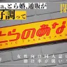 とらのあなに直撃、閉店続く店舗の在り方　昨対比143％のオンライン事業の裏側で