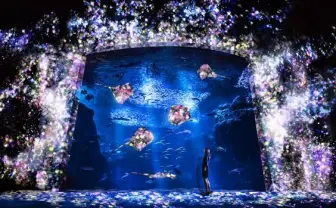 お泊まりにビアガーデン! この夏、絶対行きたい水族館イベント8選