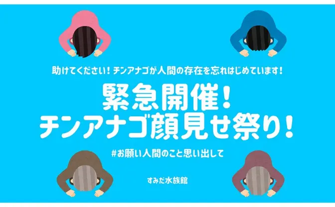 コロナ禍でチンアナゴが出てこない！ すみだ水族館が異色の“祭り”を緊急開催