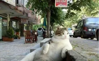 ネットで有名な「肘をついてくつろぐ猫」が銅像になって蘇った話