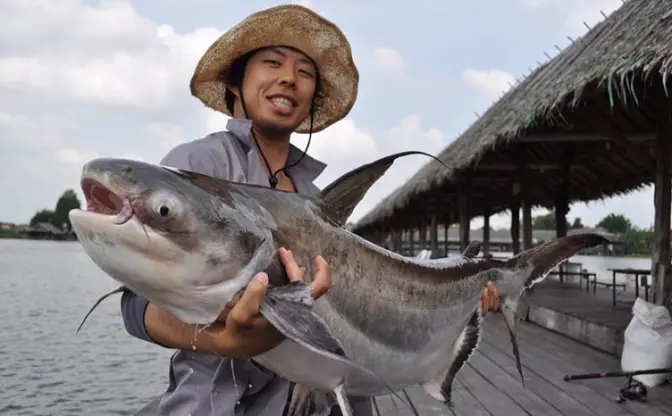 「世界の怪魚写真展」 日本を代表する怪魚ハンターによる動画や剥製も