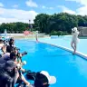 稲毛海浜公園プールでの開催が許可された「#いなプーフォトフェス」