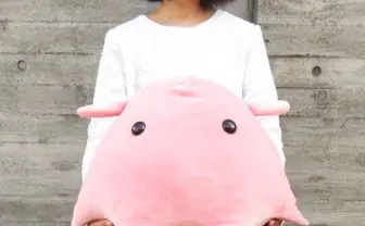 深海のアイドル メンダコのBIGぬいぐるみ 抱き枕にしていい夢見れそう