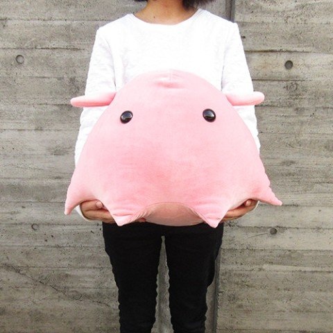 メンダコ!ページです。 Amazon.co.jp: りぶはあと クールボルスター Lサイズ マシュマロ