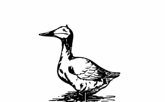 オオクボリュウ、ゲームスタジオ「CREATOR GOOSY」設立 今夏1作目を発表