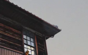 ピーナッツくん、新曲「KidsRoomMan」リリース　創作の始点「自室」を歌う