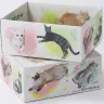アースダンボールの「猫ギフトボックス 【猫だらけ】Ver.2」