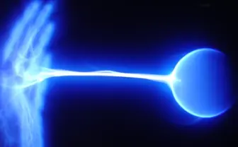 セミに電気を流し「弾いてみた」メディアアートに賛否　その学術的な意義について