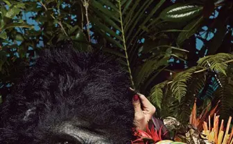 あっこゴリラ アフリカで野生のゴリラとPV撮影の旅へ　無料ライブ「出発式」も