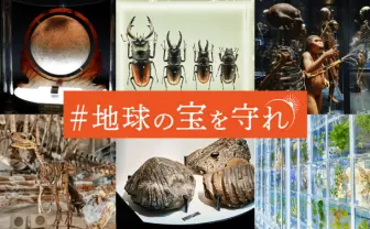 国立科学博物館、資金難で運営危機　標本の管理費逼迫でクラファン実施