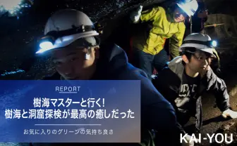 仕事で疲れたら樹海へ行こう！　森林浴と洞窟探検が最高の癒しだった