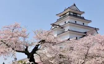 花見シーズンは終わらない！ これからが見頃の『東日本桜スポット』特集が旅行のクチコミサイト「フォートラベル」にて公開