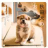 『秋田犬のおやこ』