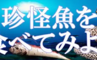 前代未聞の食イベント「珍怪魚を食べてみよう」 築地市場の業者が協力