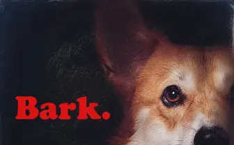 実写版『カウボーイビバップ』キャラポスター解禁 アインかわいい!