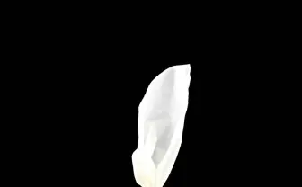 TENGA史上最大の余興 1000万円の黄金ティッシュケースが最高にイカしてる