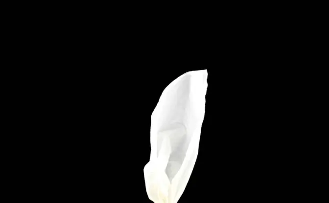 TENGA史上最大の余興　1000万円の黄金ティッシュケースが最高にイカしてる