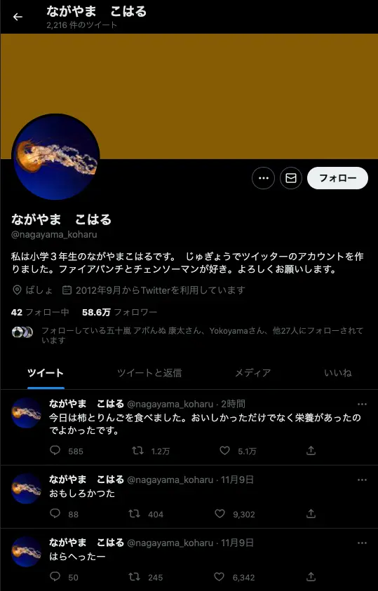凍結解除後の「ながやまこはる」初ツイート