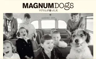 “世界最高峰の写真家集団”マグナム・フォト、まさかの犬の写真集を刊行
