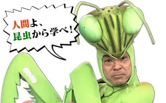 佐倉綾音、アリさんになる「香川照之の昆虫すごいぜ!」夏特番でナレーション