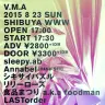「V.M.A "Visual Music Alternative "」フライヤー
