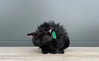 子猫の愛おしさ爆発「やんのかステップ」ぬいぐるみ　半目がまたかわいい