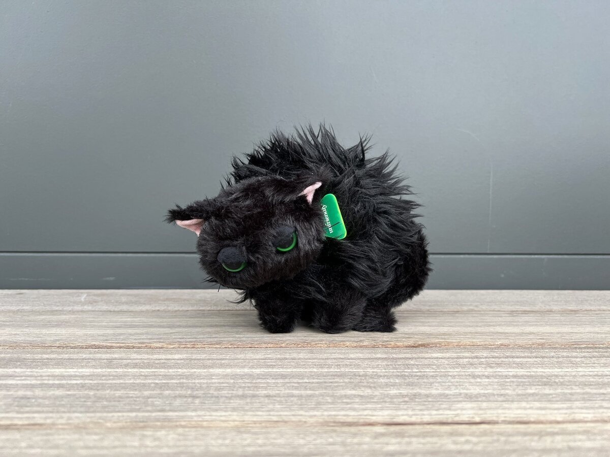 子猫の愛おしさ爆発「やんのかステップ」ぬいぐるみ 半目がまた