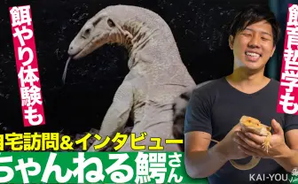 【動画】驚愕！ 80種を飼育する生物系YouTuber「ちゃんねる鰐」の自宅訪問