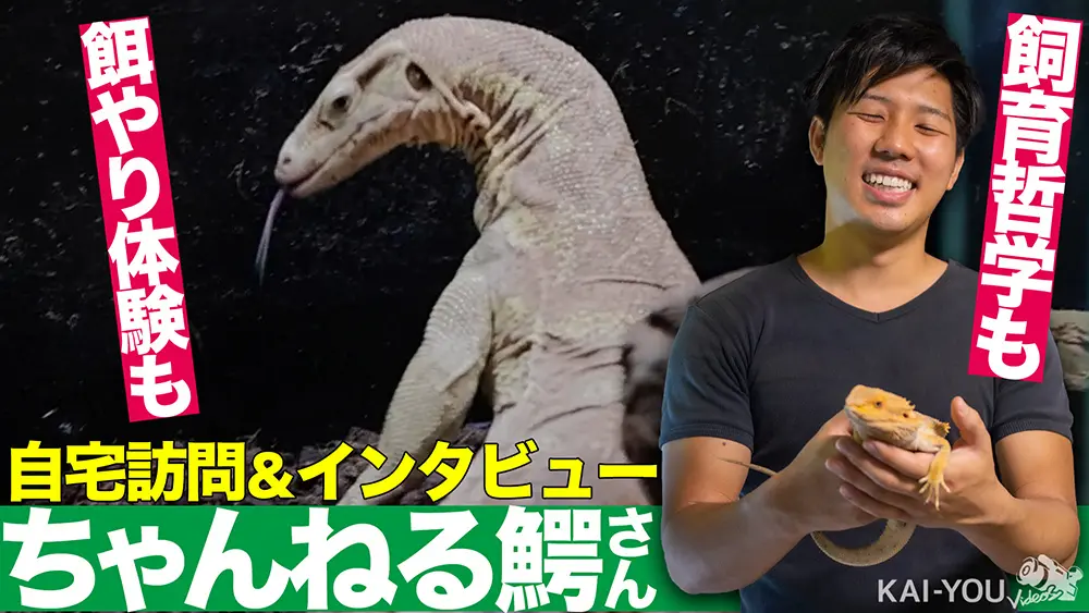 【動画】驚愕！ 80種を飼育する生物系YouTuber「ちゃんねる鰐」の自宅訪問