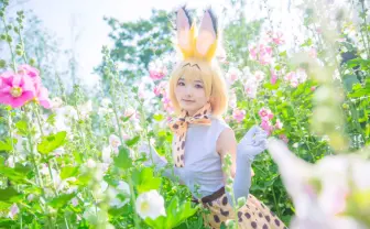 【世界のコスプレイヤー】かわいく、大人っぽく 中国のさくらさんが素敵の最高値更新