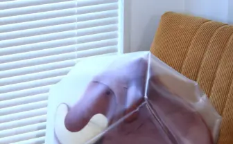 天才か? 半透明カバーで氷漬けしたマンモス 「シートの質感がこだわり」