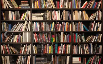 中国発　背景に見事に溶け込む「透明人間」