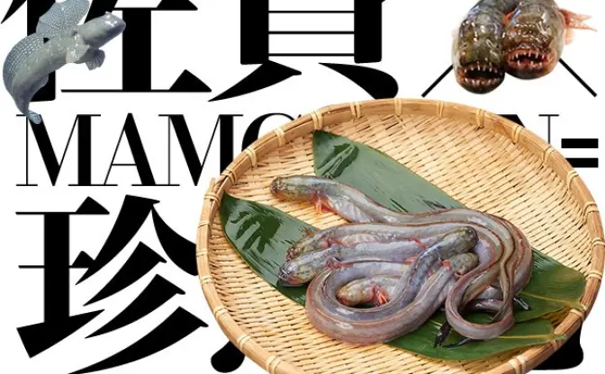 佐賀県にまた異変……グロテスクな珍魚が並ぶティザーサイト公開