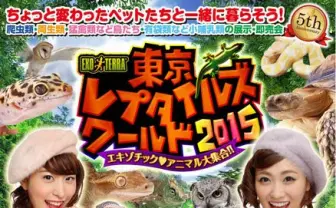 変わったペットがいっぱい！ 爬虫類とふれあって学べる展示即売会