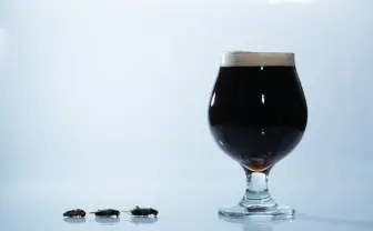 「コオロギビール」爆誕　丁寧に焙煎した福島県産フタホシコオロギを使用