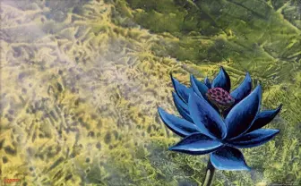 MtGの最高額カード『ブラックロータス』って何? ヤフオク出品理由に騒然