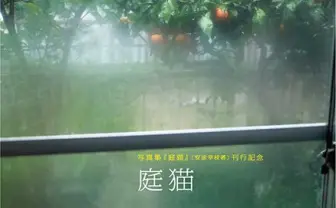 写真集『庭猫』刊行記念展　家の中を覗くノラネコの健気さに癒される