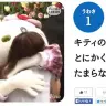 「キティのハグは、とにかくたまらないらしい。」
