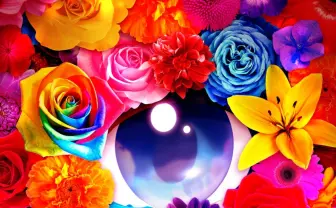 VTuberによるサスペンス映画『白爪草』今秋公開　主演は電脳少女シロ