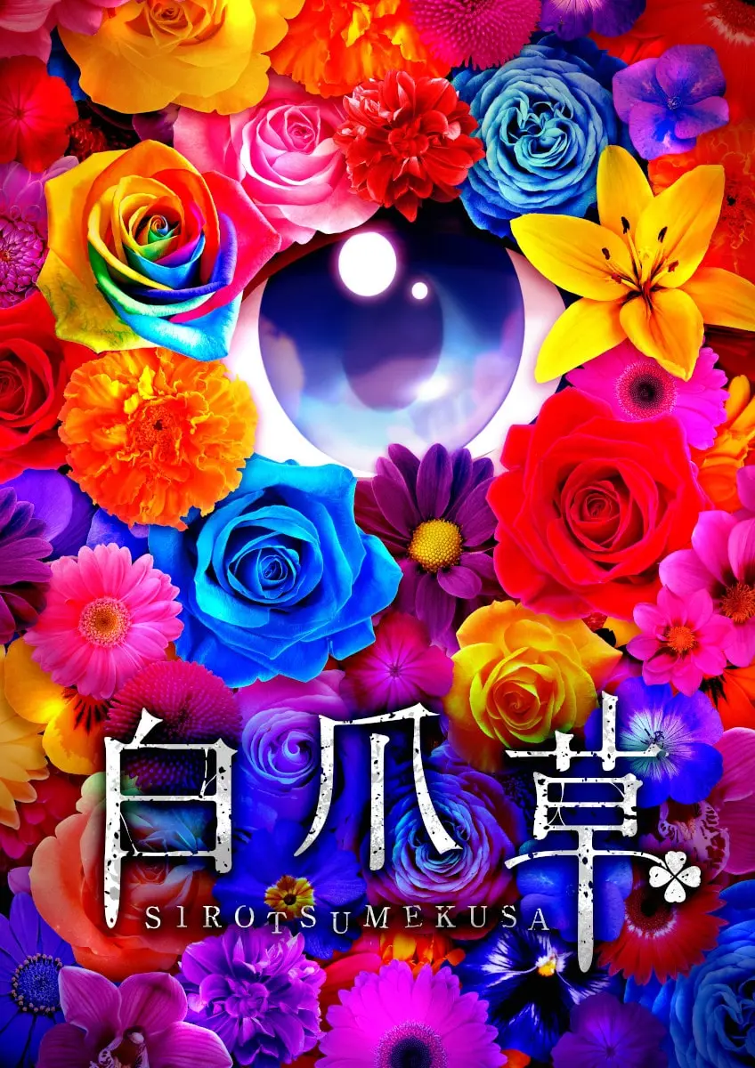 映画『白爪草』