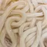倉持 リネンさんによる「うどん」と「米」／画像はすべて倉持 リネンさん提供