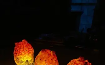 ヤバいやつが生まれそう…ホヤランプの「ナニカの卵」感がすごい