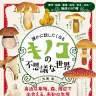 『誰かに話したくなるキノコの不思議な世界』
