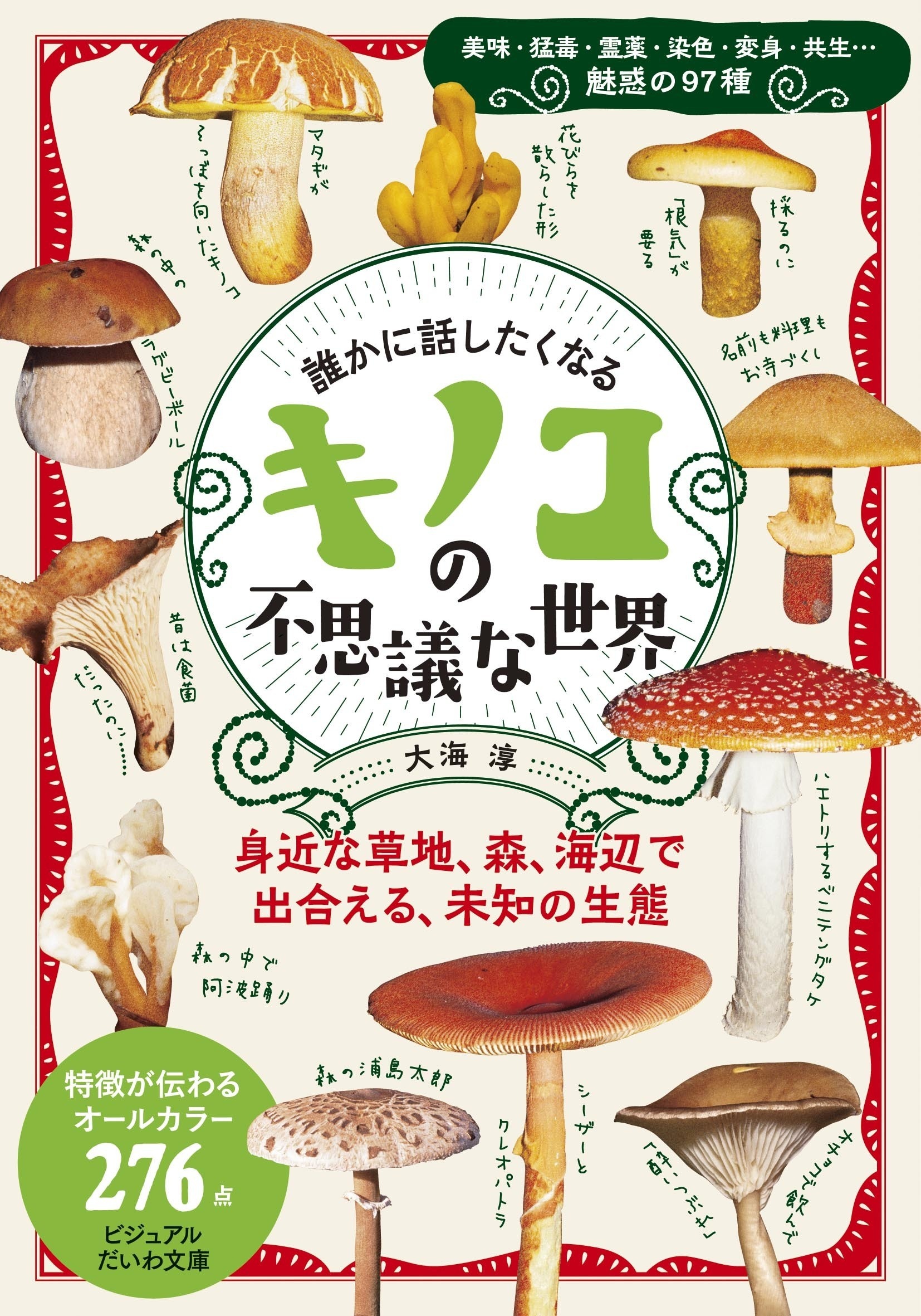 Amazon.co.jp: 【中古】 きのこの語源・方言事典 : Toys & Games