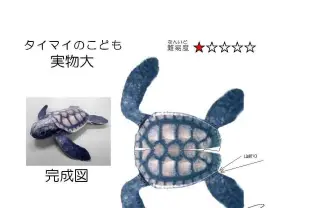水産庁が無料公開している海の生き物ペーパークラフトの芸が細かい