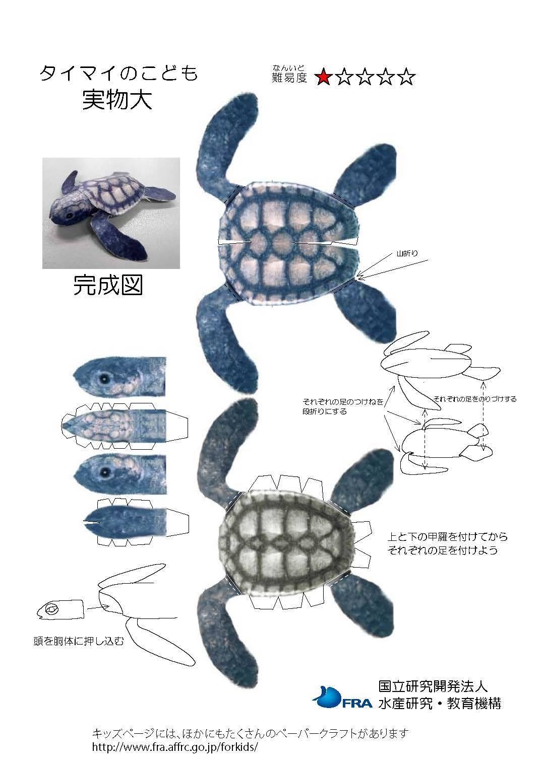 水産庁が無料公開している海の生き物ペーパークラフトの芸が細かい
