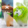 「おやさい野菜」フィギュア／画像はTwitterから